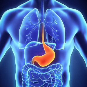 وبینار آموزشی جراحی معده